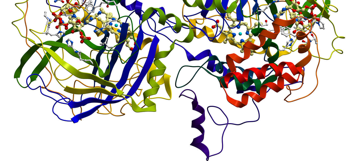 Research on Antioxidant Role in Schizophrenia and Psychosis Points to Possible Therapeutic Value of Compound Found in Broccoli Research on Antioxidant Role in Schizophrenia and Psychosis Points to Possible Therapeutic Value of Compound Found in Broccoli