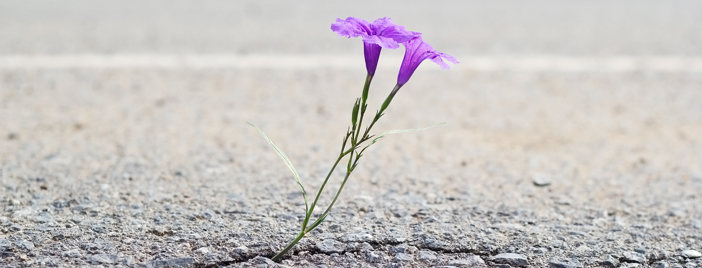A RECOVERY STORY: After Every Available Option Was Exhausted, Ketamine Has Enabled Her Life to Resume A RECOVERY STORY: After Every Available Option Was Exhausted, Ketamine Has Enabled Her Life to Resume
