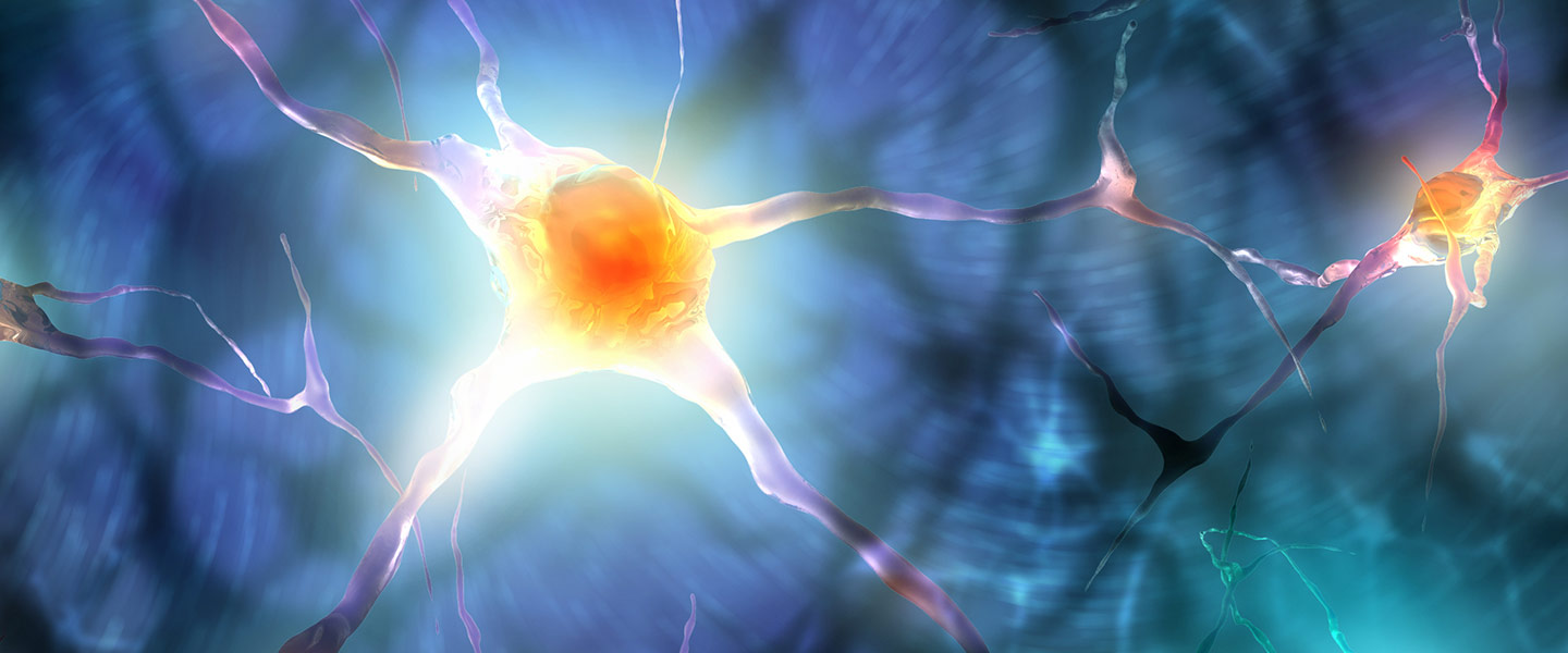 Stem Cell Technology Offers Rare Inside View of Brain Development and Schizophrenia