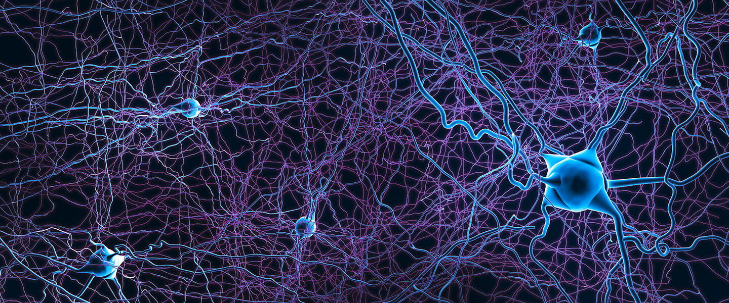 Lab-Grown Human Neurons Transplanted into the Rat Brain Grew, Connected, and Promise to Shed Light on Psychiatric Illness
Lab-Grown Human Neurons Transplanted into the Rat Brain Grew, Connected, and Promise to Shed Light on Psychiatric Illness