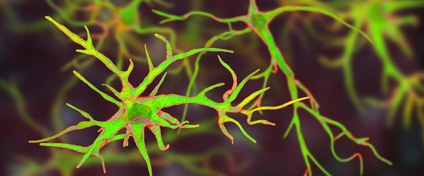 New Insights About Epilepsy Mechanism Suggest a Potential Treatment Target
New Insights About Epilepsy Mechanism Suggest a Potential Treatment Target