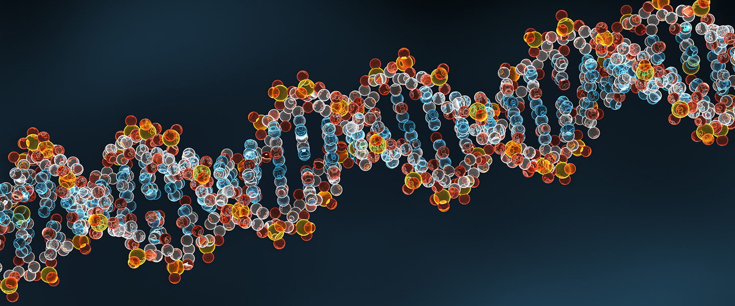 Genome Comparisons Reveal DNA Risk Variants Differ in People of East Asian vs. European Ancestry
Genome Comparisons Reveal DNA Risk Variants Differ in People of East Asian vs. European Ancestry