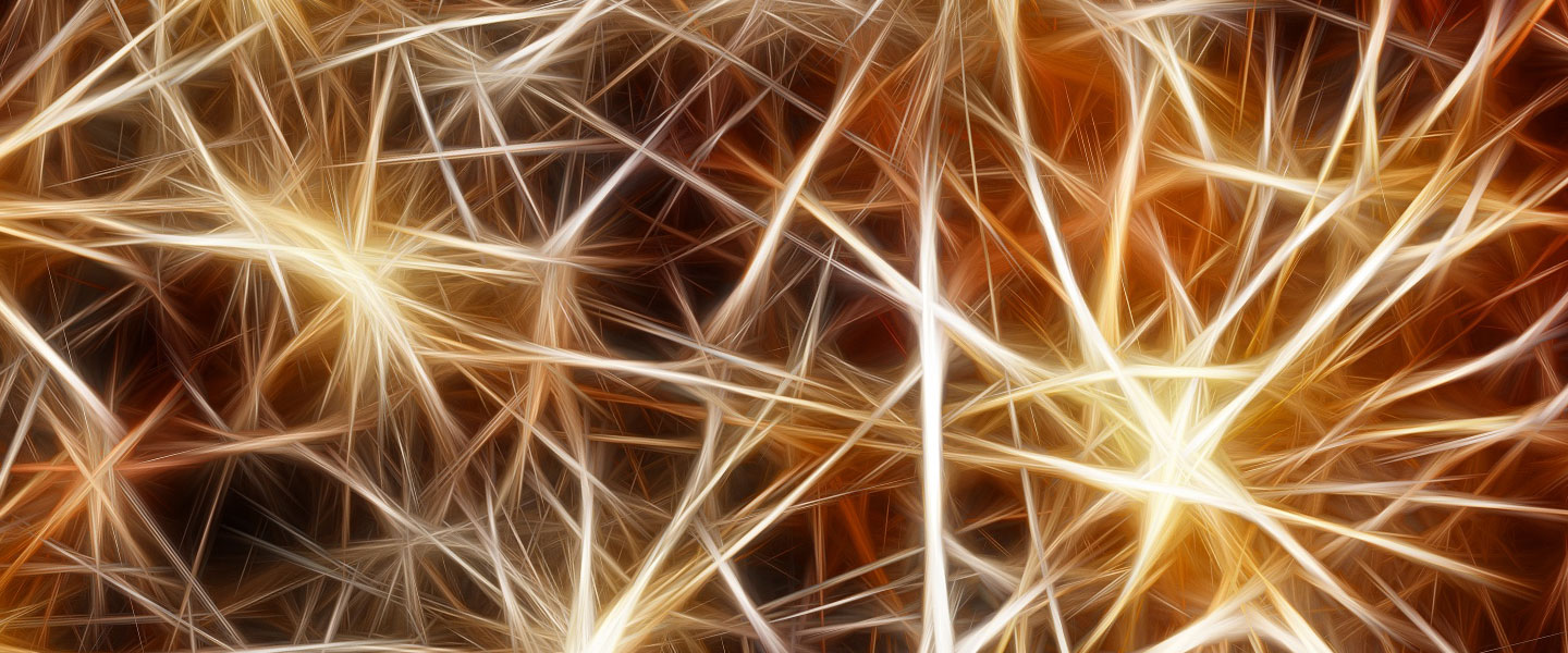 How Fear Memories are Strengthened in the Brain