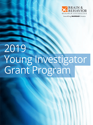 19 Young Investigator Grant Program