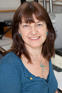 Angela C. Roberts, Ph.D.