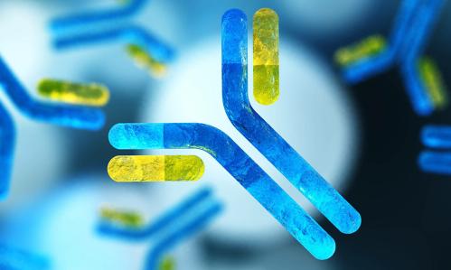 How Immune Activation May Alter the Brain and Cause Depression-Related Behavior During Chronic Social Stress How Immune Activation May Alter the Brain and Cause Depression-Related Behavior During Chronic Social Stress