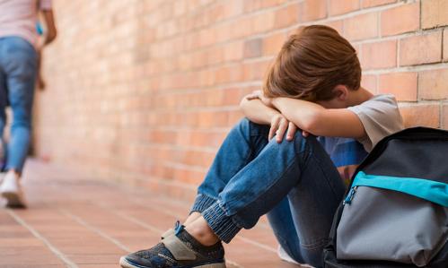 A School-Based Intervention to Reduce Bullying and the Psychological Harm It Causes A School-Based Intervention to Reduce Bullying and the Psychological Harm It Causes