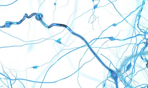Researchers Trace How Ketamine Acts on Specific Brain Circuits and Synapses to Relieve Anhedonia Researchers Trace How Ketamine Acts on Specific Brain Circuits and Synapses to Relieve Anhedonia