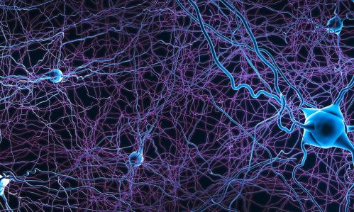 Study Finds Patterns of Brain Atrophy in Schizophrenia Converge on a Common Functional Brain Network Study Finds Patterns of Brain Atrophy in Schizophrenia Converge on a Common Functional Brain Network