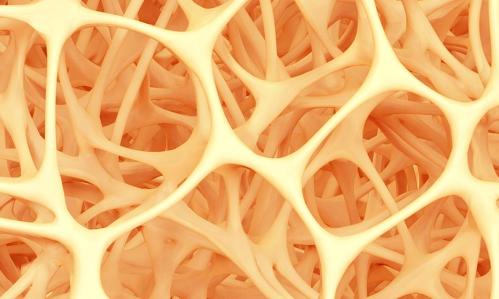 Microbes In Our Gut Can Affect Our Emotions Microbes In Our Gut Can Affect Our Emotions