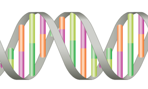 The First Robust Genetic Markers for ADHD Are Reported The First Robust Genetic Markers for ADHD Are Reported