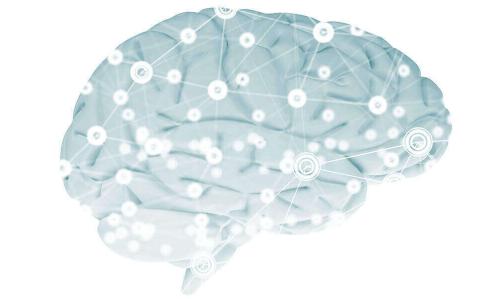 A Rarely Studied Brain Structure Provides New Clues About Psychosis A Rarely Studied Brain Structure Provides New Clues About Psychosis