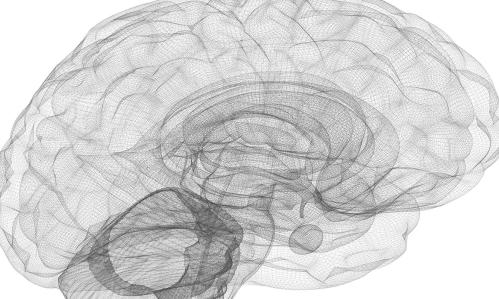 Studying Psychotic Symptoms in Marijuana Smokers at High Psychosis Risk