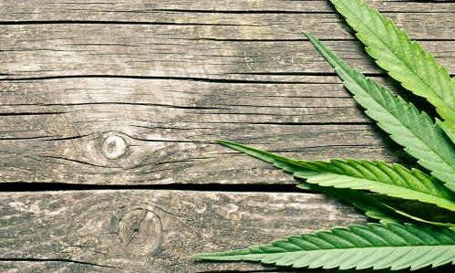 Legalization of Recreational Marijuana Affects Usage Among Teens
