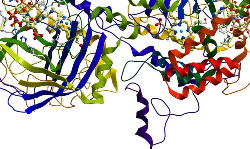 Research on Antioxidant Role in Schizophrenia and Psychosis Points to Possible Therapeutic Value of Compound Found in Broccoli Research on Antioxidant Role in Schizophrenia and Psychosis Points to Possible Therapeutic Value of Compound Found in Broccoli