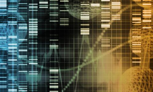 Behavioral Changes in Cocaine Addiction Are Linked to Altered Patterns of Gene Activity in the Striatum Behavioral Changes in Cocaine Addiction Are Linked to Altered Patterns of Gene Activity in the Striatum