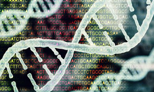 Large Genome Study Finds a ‘General Addiction Risk Factor’ Commonly Inherited Across Multiple Substance-Use Disorders Large Genome Study Finds a ‘General Addiction Risk Factor’ Commonly Inherited Across Multiple Substance-Use Disorders