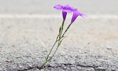 A RECOVERY STORY: After Every Available Option Was Exhausted, Ketamine Has Enabled Her Life to Resume A RECOVERY STORY: After Every Available Option Was Exhausted, Ketamine Has Enabled Her Life to Resume