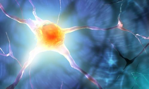 In Schizophrenia, Differences in the Brain’s Energy Pathways Suggest Possible New Treatment Target In Schizophrenia, Differences in the Brain’s Energy Pathways Suggest Possible New Treatment Target
