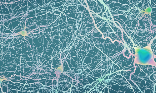 The last decade has seen a vast increase in the use of brain stimulation technologies to reduce symptoms of psychiatric illness. By far the most influential has been TMS, a non-invasive method employing magnets that generate electric fields which are thought to therapeutically alter the activity of neurons and brain circuits involved in depression and other disorders.    TMS was pioneered by BBRF Scientific Council member Mark S. George, M.D., who used two early-career BBRF grants to develop the protocol ultimately approved by the FDA in 2009 for the use of TMS in people with treatment-resistant depression. Use of TMS has expanded greatly since then, along with the development of rTMS (in which the magnetic pulses are short and repetitive), and iTBS (in which the duration of treatment sessions is greatly reduced). TMS and its variants are now FDA-approved for use in depression of all kinds as well as OCD and smoking cessation. Trials are being conducted in other disorders, including PTSD and suicidality, whil The last decade has seen a vast increase in the use of brain stimulation technologies to reduce symptoms of psychiatric illness. By far the most influential has been TMS, a non-invasive method employing magnets that generate electric fields which are thought to therapeutically alter the activity of neurons and brain circuits involved in depression and other disorders.    TMS was pioneered by BBRF Scientific Council member Mark S. George, M.D., who used two early-career BBRF grants to develop the protocol ul