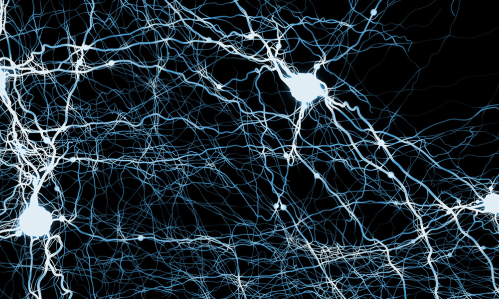 A Circuit Causally Linked With Spontaneous Nicotine Addiction Remissions May Be a Powerful Addiction Treatment Target A Circuit Causally Linked With Spontaneous Nicotine Addiction Remissions May Be a Powerful Addiction Treatment Target