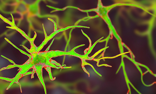 New Insights About Epilepsy Mechanism Suggest a Potential Treatment Target New Insights About Epilepsy Mechanism Suggest a Potential Treatment Target