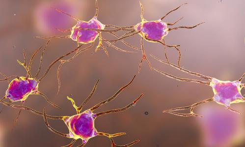 Activating Specific Serotonin Neurons Reduced Anxiety and Promoted Sleep in Mice Activating Specific Serotonin Neurons Reduced Anxiety and Promoted Sleep in Mice