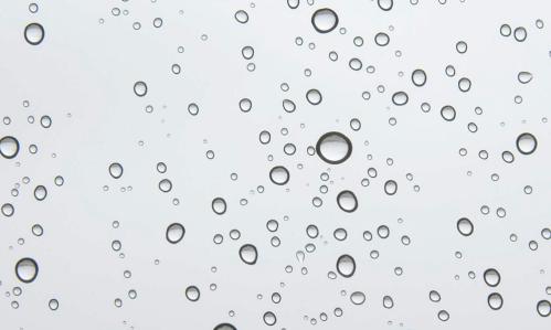 Brain’s Gray and White Matter Deteriorate in Schizophrenia