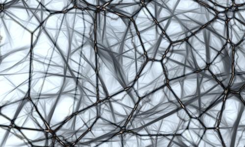 Tangled web of brain neurons