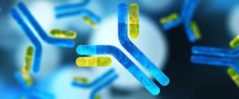 How Immune Activation May Alter the Brain and Cause Depression-Related Behavior During Chronic Social Stress How Immune Activation May Alter the Brain and Cause Depression-Related Behavior During Chronic Social Stress