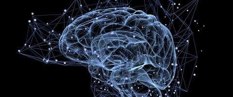In Trial, Magnetic Seizure Therapy (MST) Was Just as Effective as Electroconvulsive Therapy (ECT) in Treating Severe Depression, and Likely Safer In Trial, Magnetic Seizure Therapy (MST) Was Just as Effective as Electroconvulsive Therapy (ECT) in Treating Severe Depression, and Likely Safer