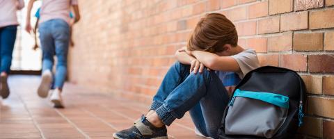 A School-Based Intervention to Reduce Bullying and the Psychological Harm It Causes A School-Based Intervention to Reduce Bullying and the Psychological Harm It Causes