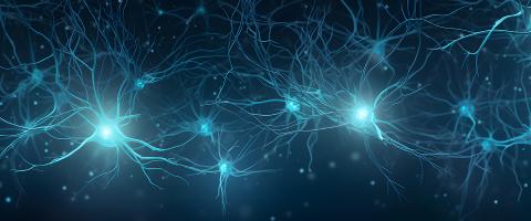 Linkages Between White Matter Injuries in Multiple Sclerosis and Co-Occurring Depression Are Analyzed by Researchers Linkages Between White Matter Injuries in Multiple Sclerosis and Co-Occurring Depression Are Analyzed by Researchers