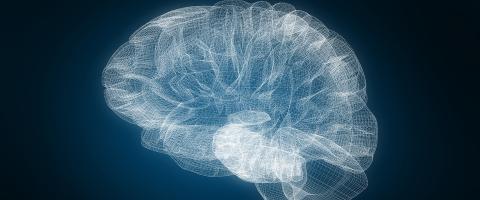 Imaging-Based “Normative Model” of Healthy Brain Promises to Significantly Advance Mental Illness Research and Diagnosis Imaging-Based “Normative Model” of Healthy Brain Promises to Significantly Advance Mental Illness Research and Diagnosis