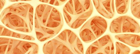 Abstract shape of bone structure