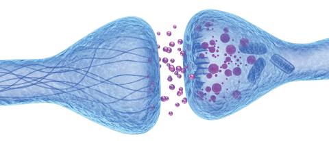 Patterns in Brain Network Activity Reveal Distinct Biological Subtypes of Depression Patterns in Brain Network Activity Reveal Distinct Biological Subtypes of Depression