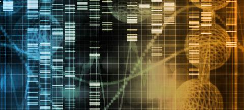 Behavioral Changes in Cocaine Addiction Are Linked to Altered Patterns of Gene Activity in the Striatum