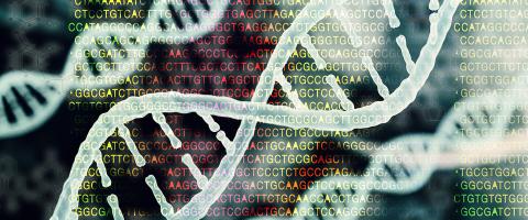 Large Genome Study Finds a ‘General Addiction Risk Factor’ Commonly Inherited Across Multiple Substance-Use Disorders Large Genome Study Finds a ‘General Addiction Risk Factor’ Commonly Inherited Across Multiple Substance-Use Disorders