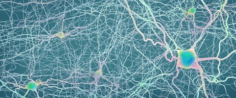A 'Common Causal Circuit' in Depression with Possible Therapeutic Implications A 'Common Causal Circuit' in Depression with Possible Therapeutic Implications