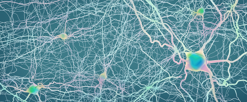 A 'Common Causal Circuit' in Depression with Possible Therapeutic Implications