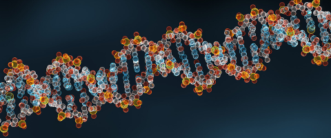 Genome Comparisons Reveal DNA Risk Variants Differ in People of East Asian vs. European Ancestry Genome Comparisons Reveal DNA Risk Variants Differ in People of East Asian vs. European Ancestry