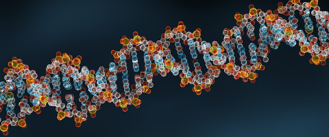 Genome Comparisons Reveal DNA Risk Variants Differ in People of East Asian vs. European Ancestry