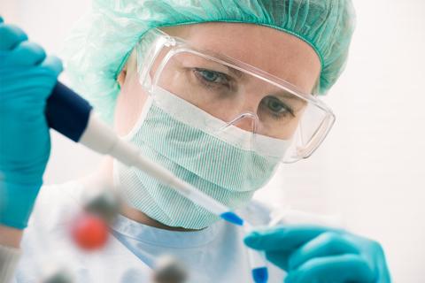 Article image alt Article image alt