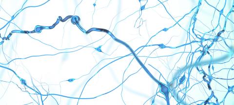 Brain Network Analysis Reveals a Depression – Multiple Sclerosis Connection Brain Network Analysis Reveals a Depression – Multiple Sclerosis Connection
