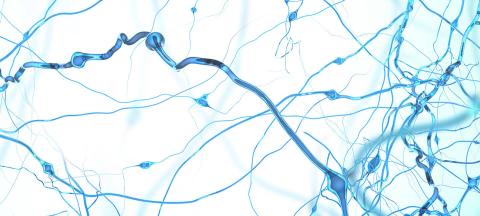 Study: Ketamine Restores Neural Connection Points Lost in Stress & Depression Study: Ketamine Restores Neural Connection Points Lost in Stress & Depression