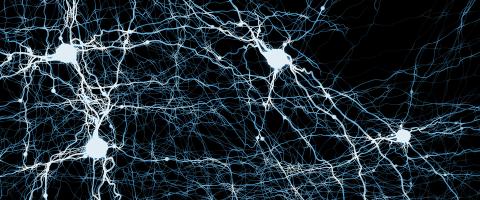 Study Links Schizophrenia Medicines’ Anticholinergic Impact to Risk of Cognitive Impairment Study Links Schizophrenia Medicines’ Anticholinergic Impact to Risk of Cognitive Impairment