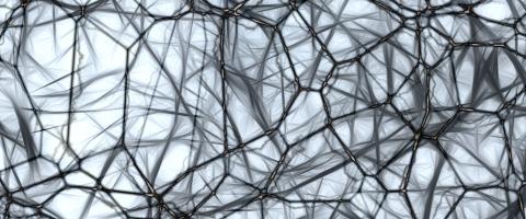 Tangled web of brain neurons