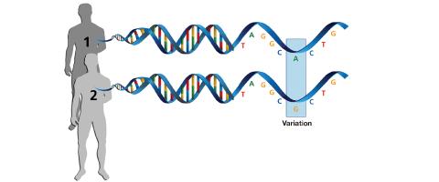 A RESEARCHER’S PERSPECTIVE: What Genetics Is Telling Us About Substance Use Disorders