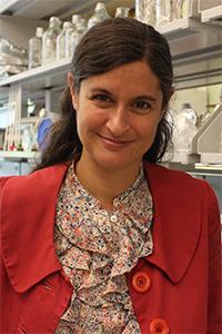 Susanne E. Ahmari, M.D., Ph.D.
