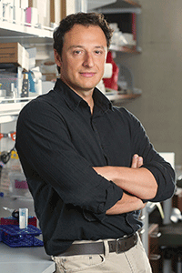 Alysson R. Muotri, Ph.D.